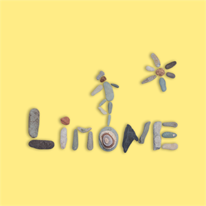 Limone logo