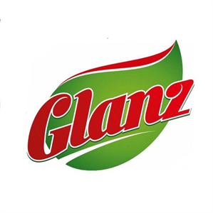GLANZ LLC logo