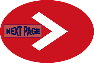Next Page logo