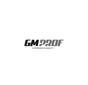 GMPROF LLC logo