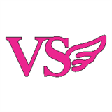 VS Boutique logo