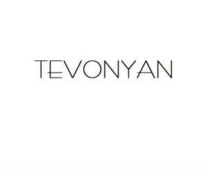 Tevonyan Bags Shoes logo