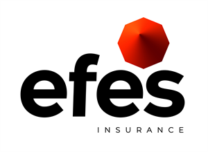 EFES insurance logo