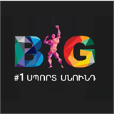 BIG սպորտային սննդի խանութ logo