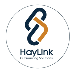 HayLink Solutions logo