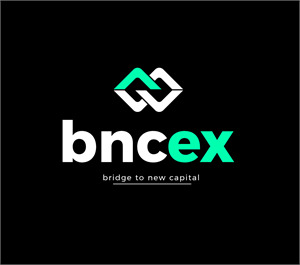 Bridge to New Capital logo