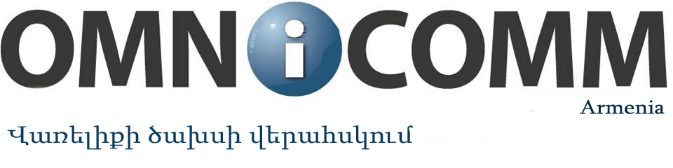 Omnicomm Armenia logo