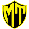 MULTI TRANSPORT LLC logo