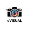 EVISUAL LLC logo