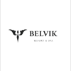 Բելվիկ ՍՊԸ logo