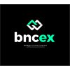 Bridge to New Capital logo