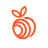 Apricot CX Technologies logo
