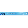Intelcom Line LP. logo